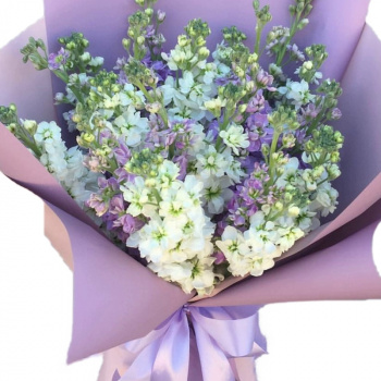 Букет из маттиол "Вечер в Париже"